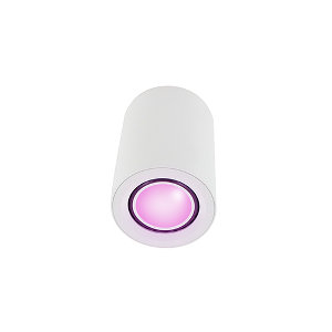Odin opbouwspot - Philips Hue Compatible - White and Color - wit rond