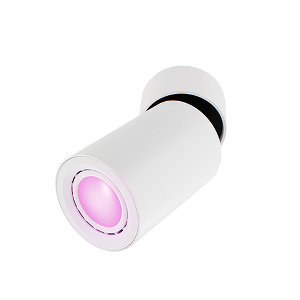 Odin opbouwspot - Philips Hue Compatible - White and Color - wit rond kantelbaar