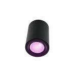 Odin opbouwspot - Philips Hue Compatible - White and Color - zwart rond