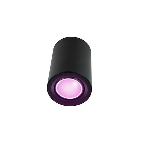 Odin opbouwspot - Philips Hue Compatible - White and Color - zwart rond